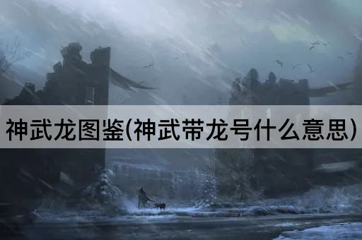 神武龙图鉴(神武带龙号什么意思)