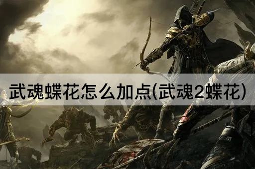 武魂蝶花怎么加点(武魂2蝶花)