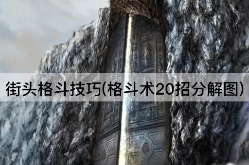 街头格斗技巧(格斗术20招分解图)