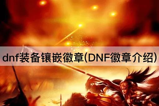 dnf装备镶嵌徽章(DNF徽章介绍)