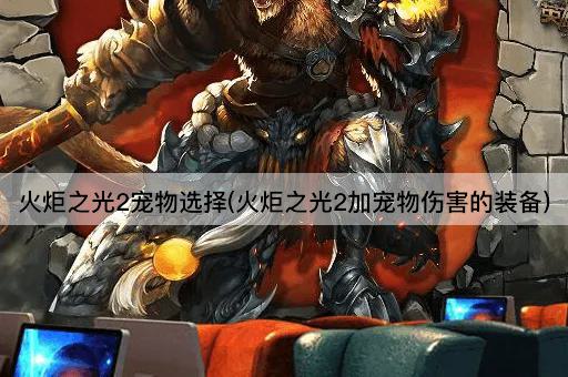 火炬之光2宠物选择(火炬之光2加宠物伤害的装备)