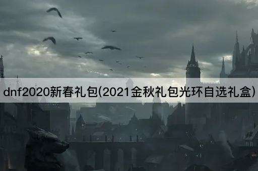 dnf2020新春礼包(2021金秋光环自选礼盒)