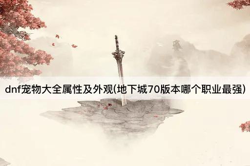 dnf宠物大全属性及外观(地下城70版本最强职业解析)