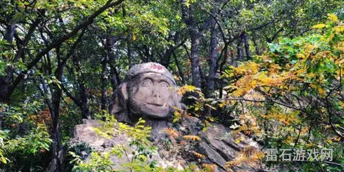 花果山5力还是4力一耐好(花果山卡69正确加点)