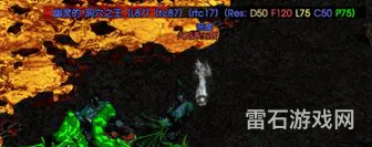 暗黑2圣骑士加点顺序(骑士技能加点顺序详解)