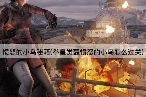愤怒的小鸟秘籍(拳皇觉醒愤怒的小鸟怎么过关)