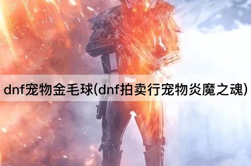 dnf宠物金毛球(dnf拍卖行宠物炎魔之魂)
