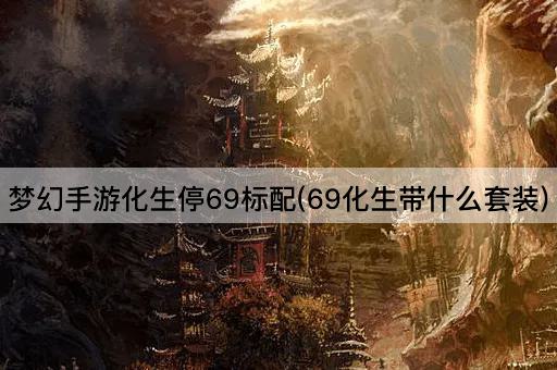 梦幻手游化生停69标配(69化生带什么套装)