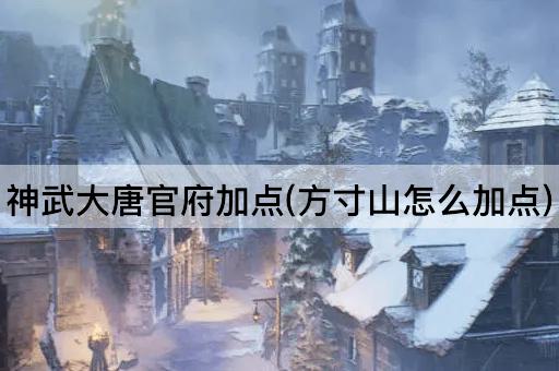 神武大唐官府加点(方寸山怎么加点)