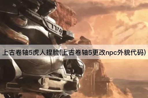 上古卷轴5虎人捏脸(上古卷轴5更改npc外貌代码)