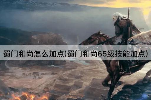 蜀门和尚怎么加点(蜀门和尚65级技能加点)