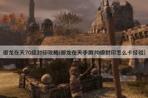 御龙在天70级封印攻略(御龙在天手游70级封印怎么卡经验)