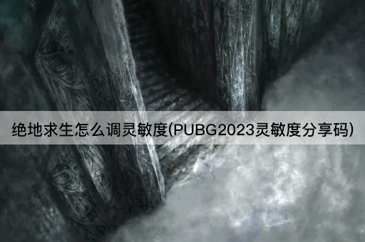 绝地求生怎么调灵敏度(PUBG2023灵敏度分享码)