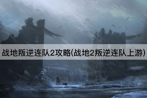 战地叛逆连队2攻略(战地2叛逆连队上游)