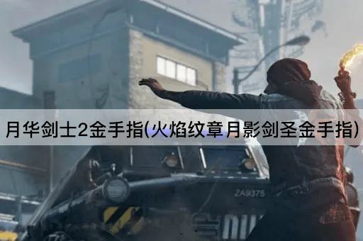月华剑士2金手指(火焰纹章月影剑圣金手指)