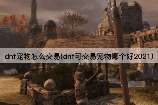 dnf宠物怎么交易(dnf可交易宠物哪个好2021)