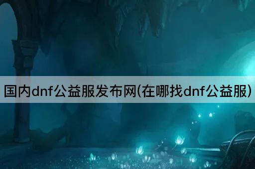 国内dnf公益服发布网(在哪找dnf公益服)