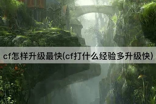 cf怎样升级最快(cf打什么经验多升级快)