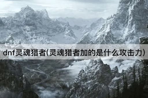 dnf灵魂猎者(灵魂猎者加的是什么攻击力)
