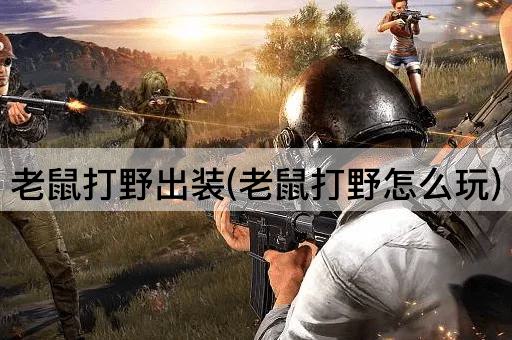 老鼠打野出装(老鼠打野怎么玩)