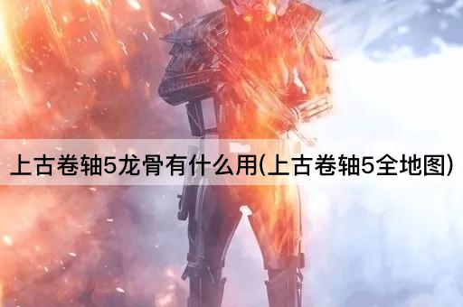 上古卷轴5龙骨有什么用(上古卷轴5全地图)