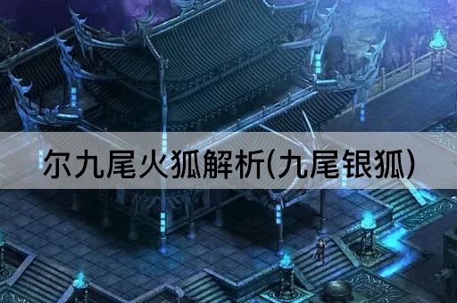 尔九尾火狐解析(九尾银狐)