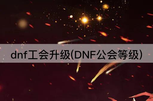 dnf工会升级(DNF公会等级)