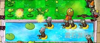 植物大战僵尸原版2010下载(游戏大战僵尸植物大战僵尸)