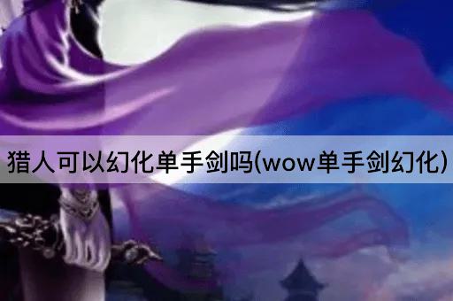 猎人可以幻化单手剑吗(wow单手剑幻化)