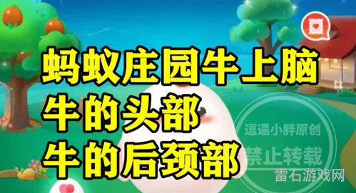 蚂蚁会从耳朵进入大脑吗(牛上脑蚂蚁庄园)