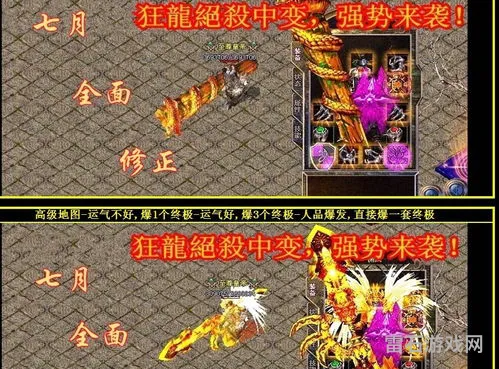 哪个奇迹sf人气最高(新开奇迹网站)
