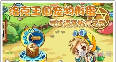 洛克王国孵蛋大全(洛克王国可以孵蛋的稀有宠物)