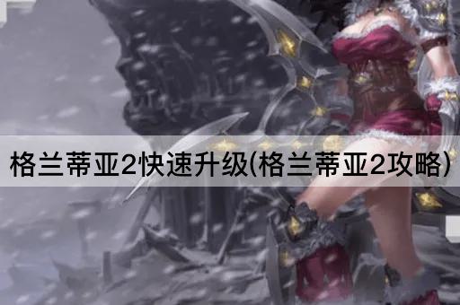 格兰蒂亚2快速升级(格兰蒂亚2攻略)