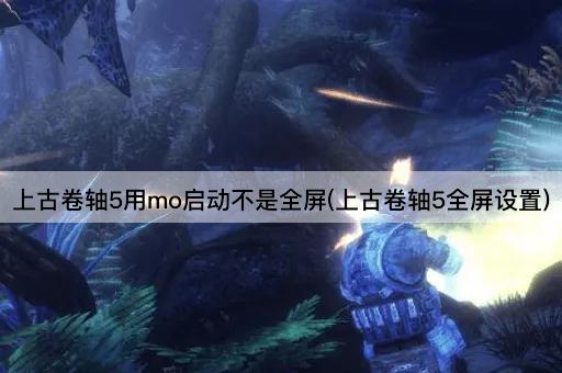 上古卷轴5用mo启动不是全屏(上古卷轴5全屏设置)